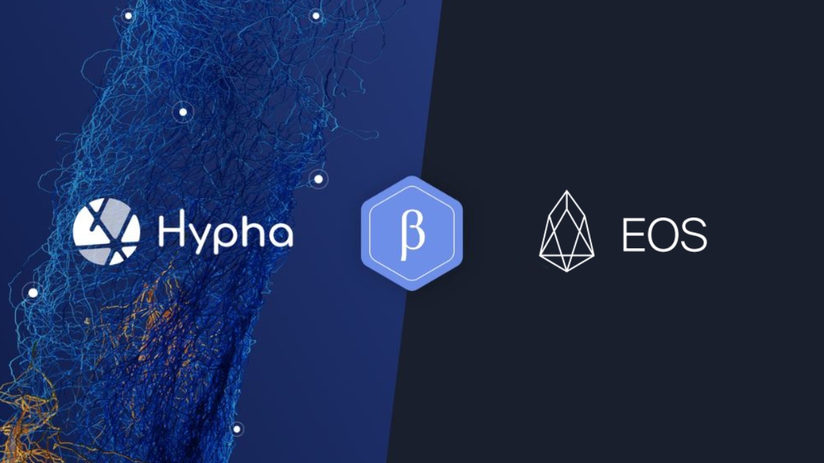 Hypha-x-EOS-Blog1.jpg